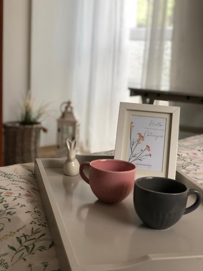 Pokoje Agroturystyczne U Hani Ostrzyce Exteriör bild